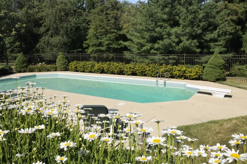 Pool Deck Landscaping