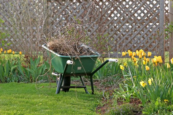 Flower Bed Cleanup Service in Boca Raton