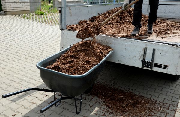 Bulk Mulch Delivery in Boca Raton