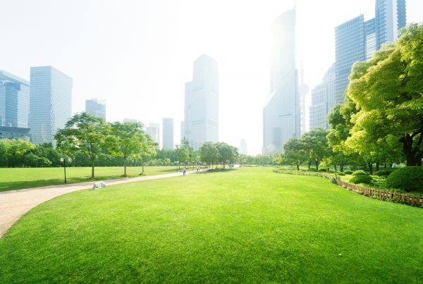 Commercial Landscape Maintenance in Boca Raton