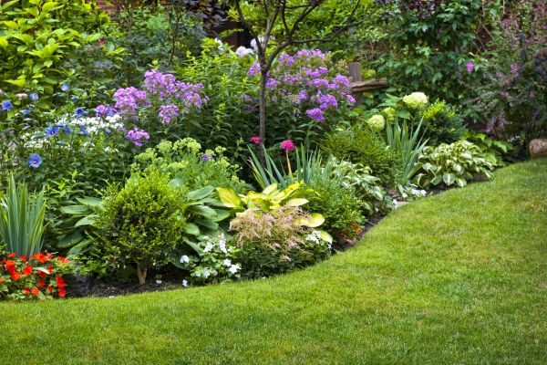 Flower Bed Service in Boca Raton