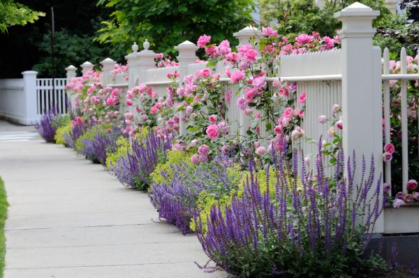 Garden Handyman Service in Boca Raton