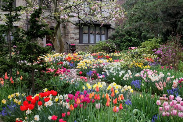Garden Maintenance Service in Boca Raton