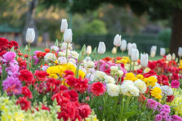 Gardening Service in Boca Raton
