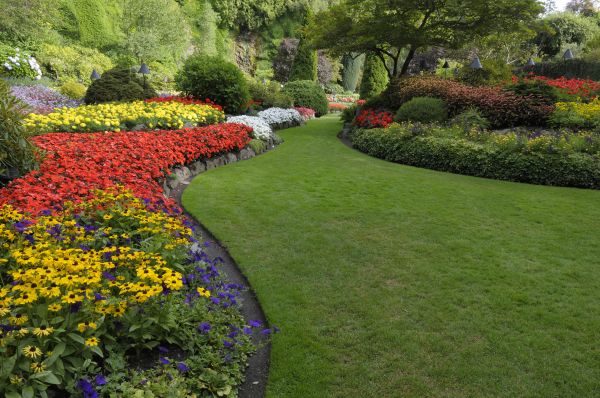 Landscaping Maintenance in Boca Raton