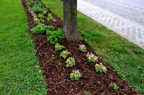Mulch Replacement Service in Boca Raton