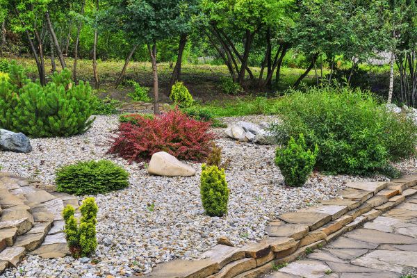 Rock Landscaping in Boca Raton