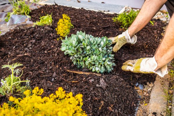Weeding And Mulching in Boca Raton