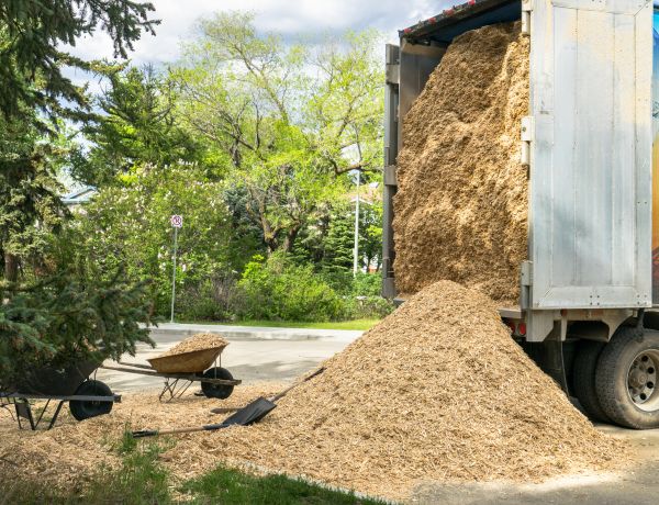 Wood Chips Delivery in Boca Raton