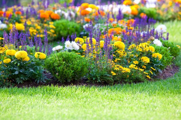 Garden Installation in Boca Raton