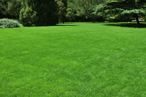 Lawn Landscaping in Boca Raton