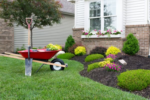 Landscape Maintenance Service in Boca Raton