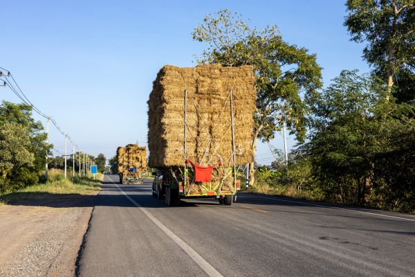 Pine Straw Delivery in Boca Raton
