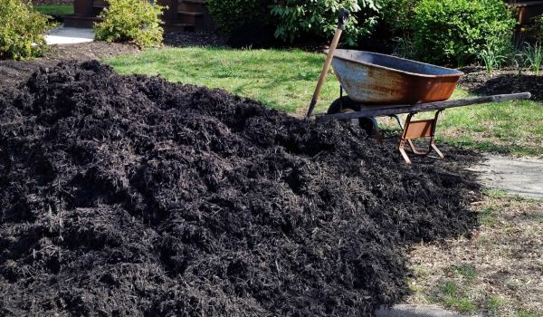Black Mulch Delivery in Boca Raton