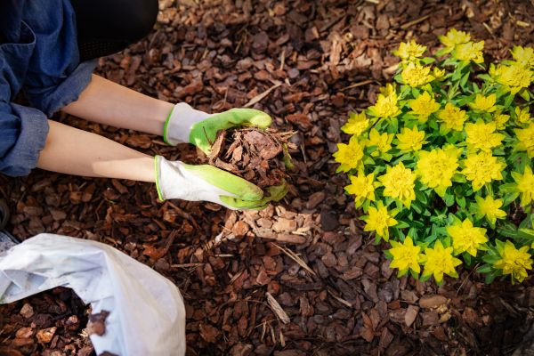 Garden Mulching in Boca Raton