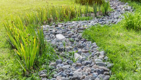 River Rock Garden Installation in Boca Raton