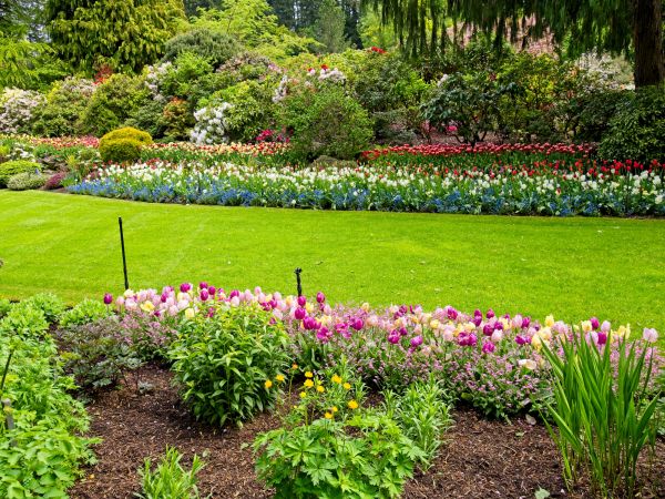 Residential Landscape Design in Boca Raton