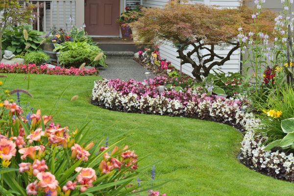 Perennial Landscaping in Boca Raton
