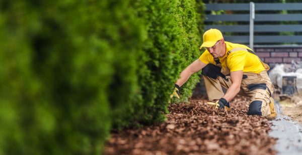 Cypress Mulch Installation in Boca Raton