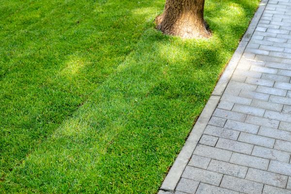 Border Stone Installation in Boca Raton