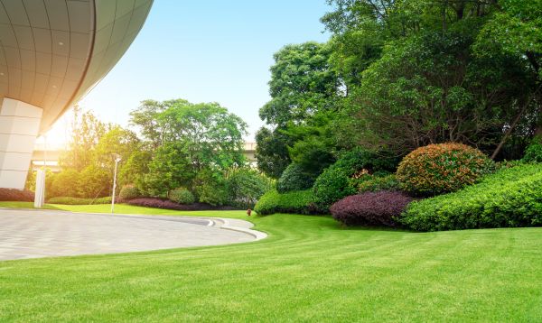 Business Landscape Design in Boca Raton