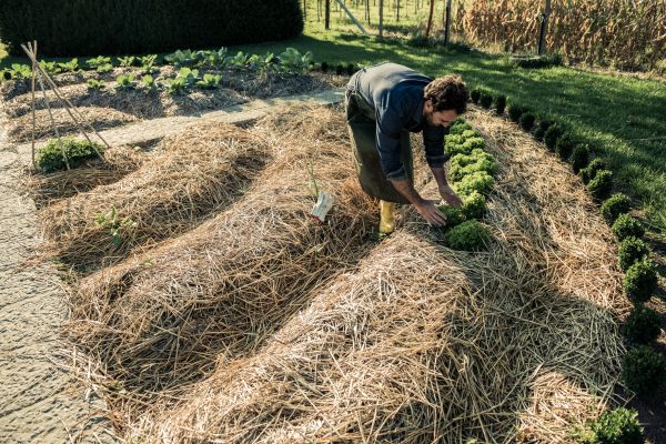 Straw Mulching Service in Boca Raton