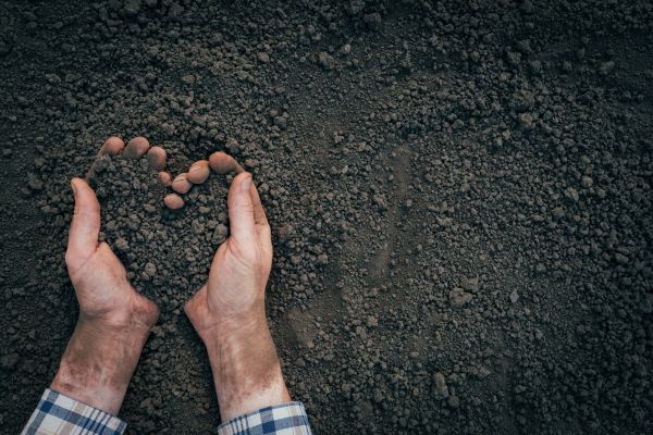 Soil Installation in Boca Raton