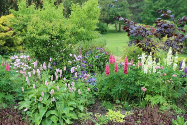 Flower Bed Planting in Boca Raton