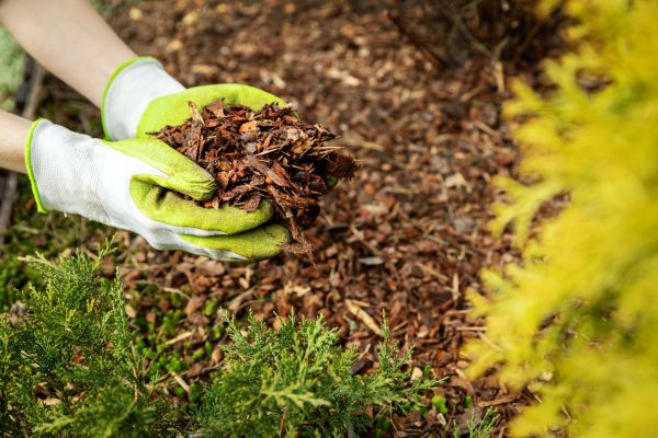 Garden Mulch Delivery in Boca Raton