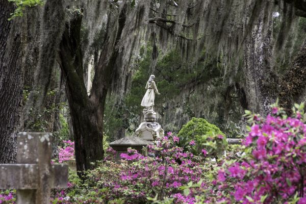 Cemetery Landscaping in Boca Raton