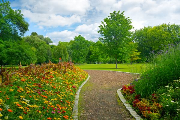 Park Landscaping in Boca Raton