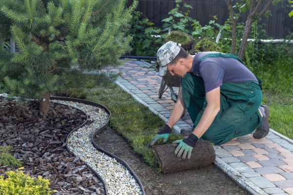 Landscaping Modification in Boca Raton