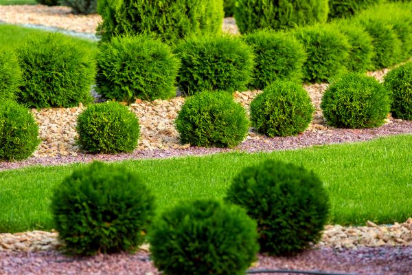 Bush Installation in Boca Raton
