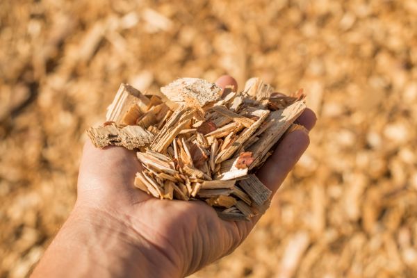 Wood Chips Spreading in Boca Raton