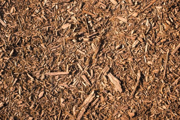 Wood Chips Removal in Boca Raton