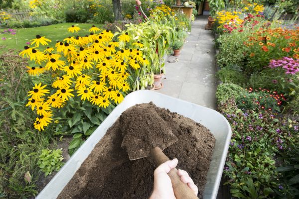 Topsoil Replacement in Boca Raton