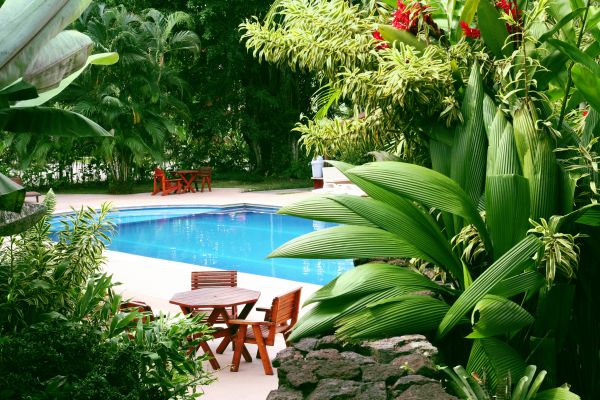 Pool Area Landscaping in Boca Raton
