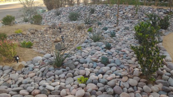 Yard Xeriscaping in Boca Raton