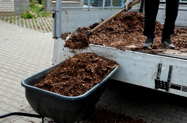 Cedar Mulch Delivery in Boca Raton