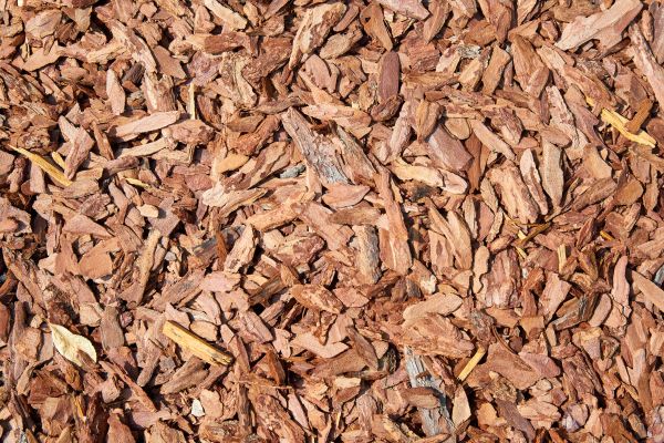 Pine Mulch Spreading in Boca Raton