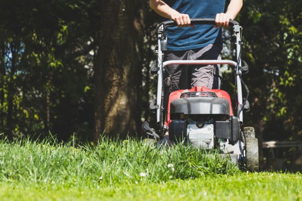 Garden Trimming Service in Boca Raton