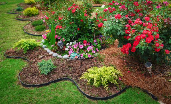 Floral Landscaping in Boca Raton