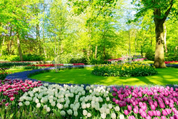 Flower Landscaping in Boca Raton