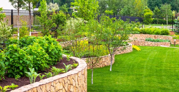 Yard Makeover Service in Boca Raton