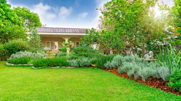 Greenery Planting in Boca Raton