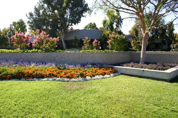 Commercial Landscape Service in Boca Raton