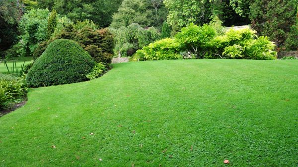 Commercial Landscape Design in Boca Raton