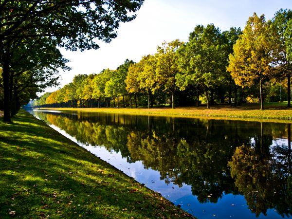 Bank Landscaping in Boca Raton