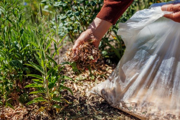 Wood Mulch Installation in Boca Raton