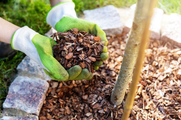 Tree Bark Delivery in Boca Raton